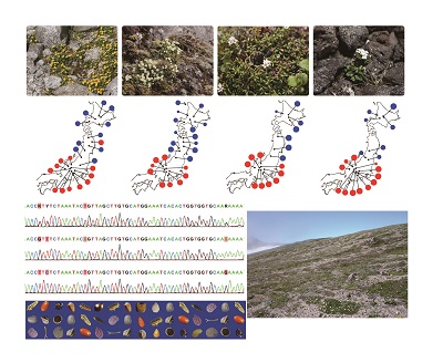 molecular moldels