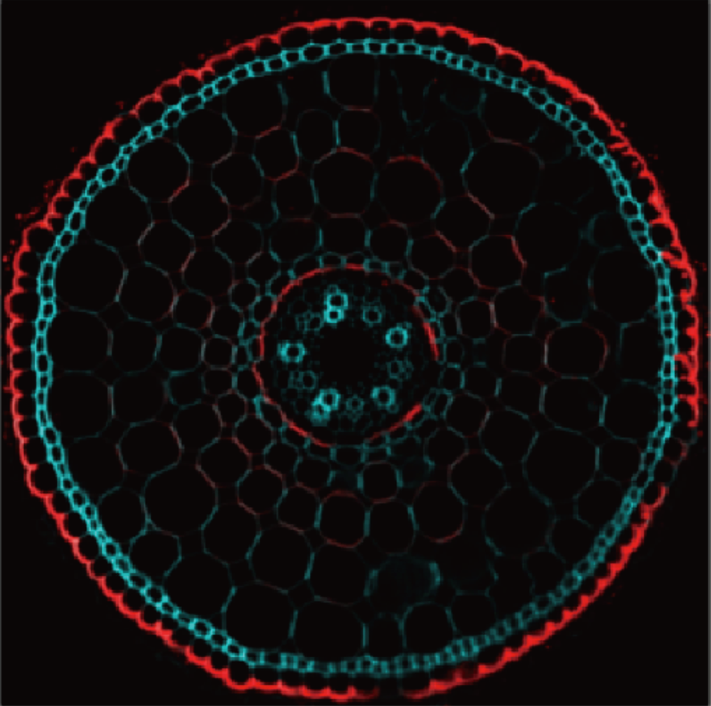 img20230310091545867000.png