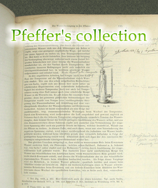 Pfeffer's collection
