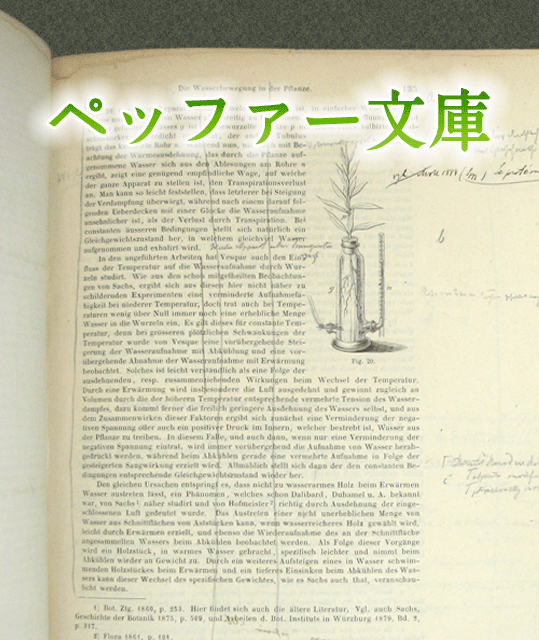 ペッファー文庫表紙