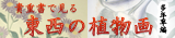 東西の植物画