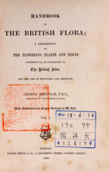 British flora cover