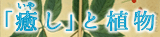 癒しと植物