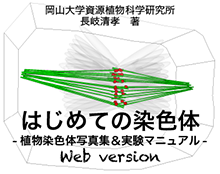 webverlogo220-2.png