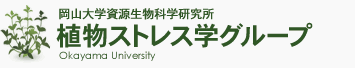 植物ストレス学グループ│岡山大学資源植物科学研究所