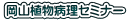 ���R�A���a���Z�~�i�[
