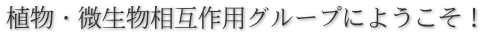 植物・微生物相互作用グループにようこそ!