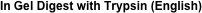 In Gel Digest with Trypsin (English)