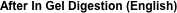 After In Gel Digestion (English)