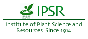 IPSR