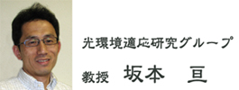 sakamoto