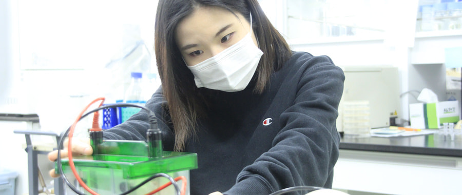_mg_2328.jpg