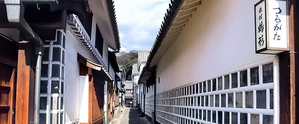 tsurugata.jpg