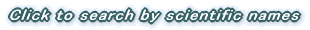 Click to search by scientific names
