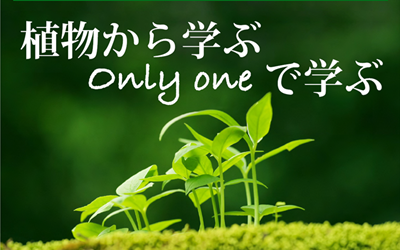 大学院進学説明会